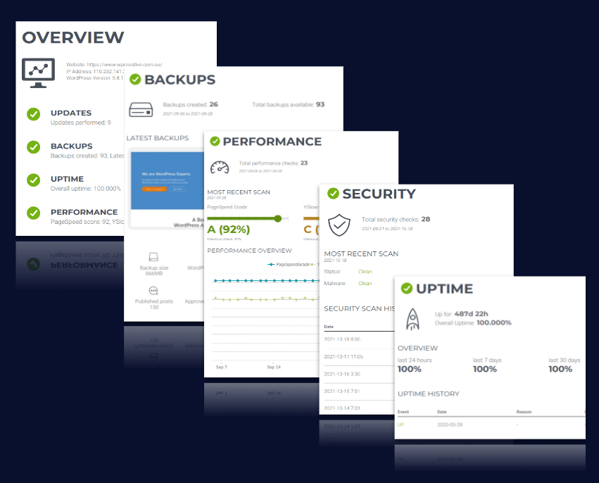 Comprehensive WordPress Audit for Free