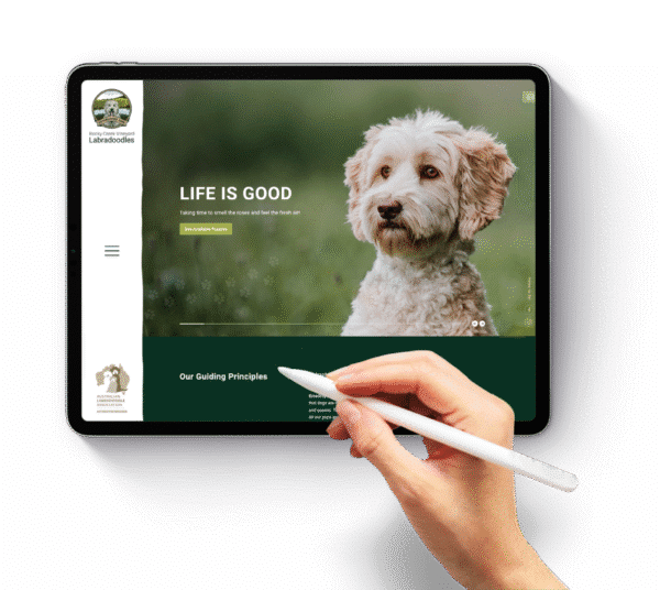 wordpress expert washington dc