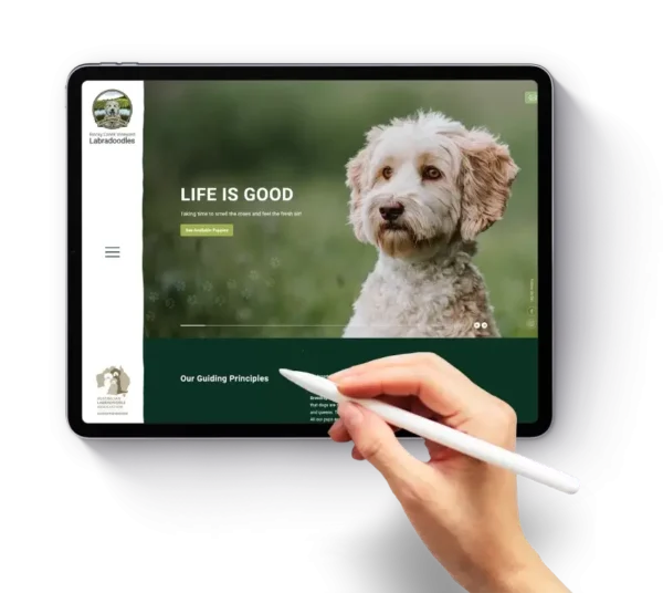 wordpress developer everett