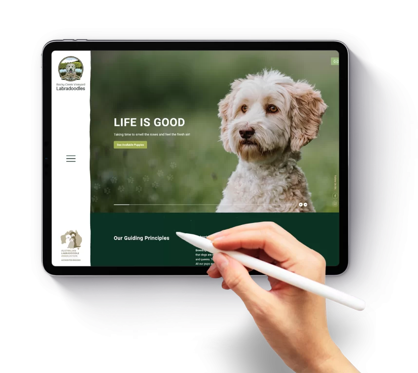 wordpress support houston