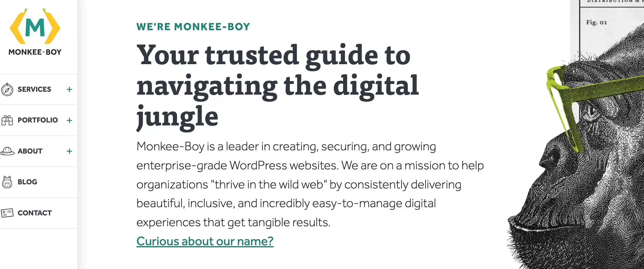 Top WordPress Agencies in Texas: What to Know Before You Hire 3 Monkee boy- WordPress Agency